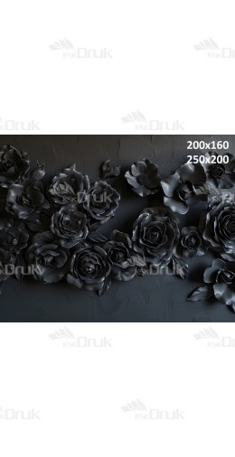 Tło fotograficzne 2834